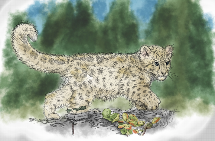 SnowLeopard